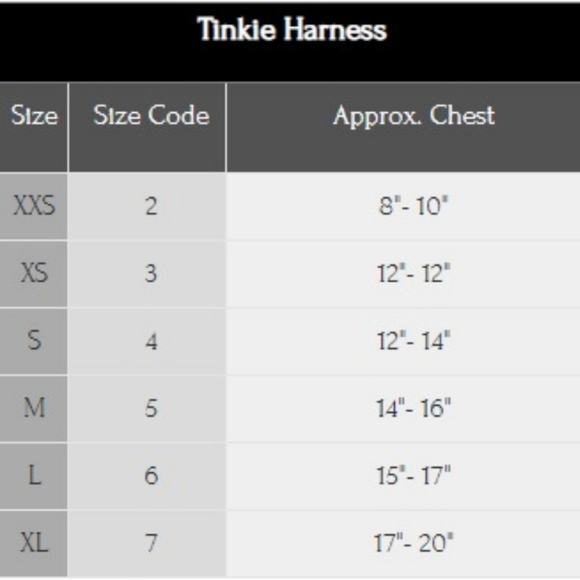 Susan Lanci contrast color big bow tinkie harness size large and 48" SL leash - Picture 6 of 9